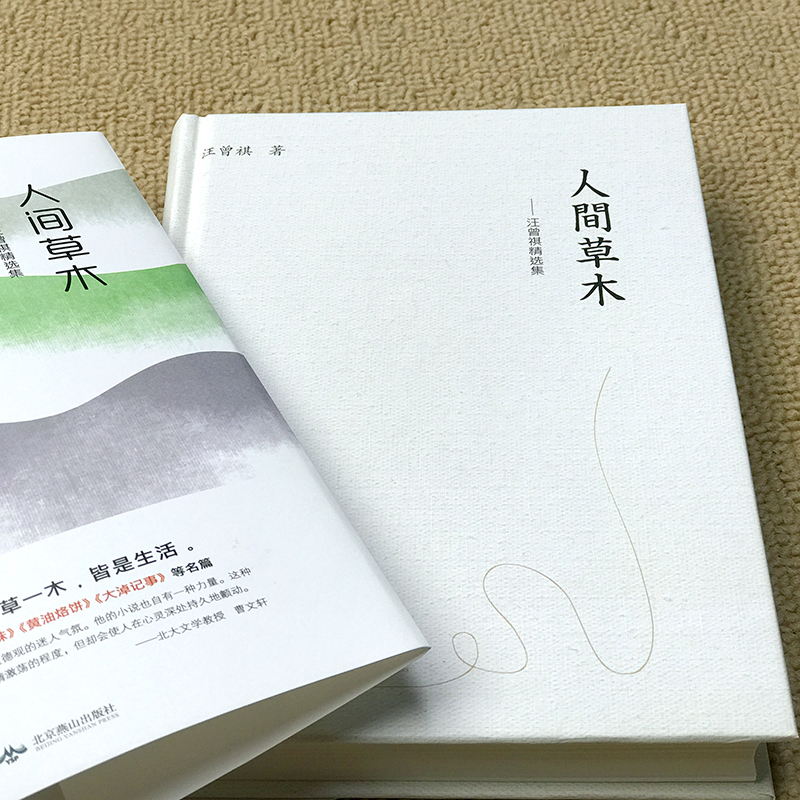 [正版]人间草木汪曾祺精装 散文集小说集自选集作品全集 黄油烙饼 受戒 大淖记事现当代文学短篇小说经典散文随笔书籍高清大图