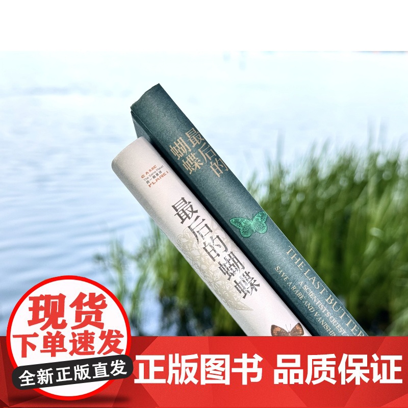 最后的蝴蝶 同一颗星球丛书 清新好读的蝴蝶观察笔记险象环生的拯救生灵故事,在冒险世界里发现美 RM高清大图