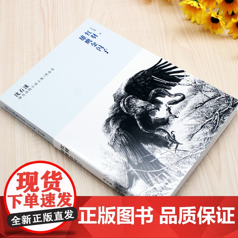红豺 雄鹰金闪子 沈石溪臻奇动物小说文集 热血卷 8-9-10-12-15周岁儿童文学三四五六年级中小学生课外阅读书籍高清大图