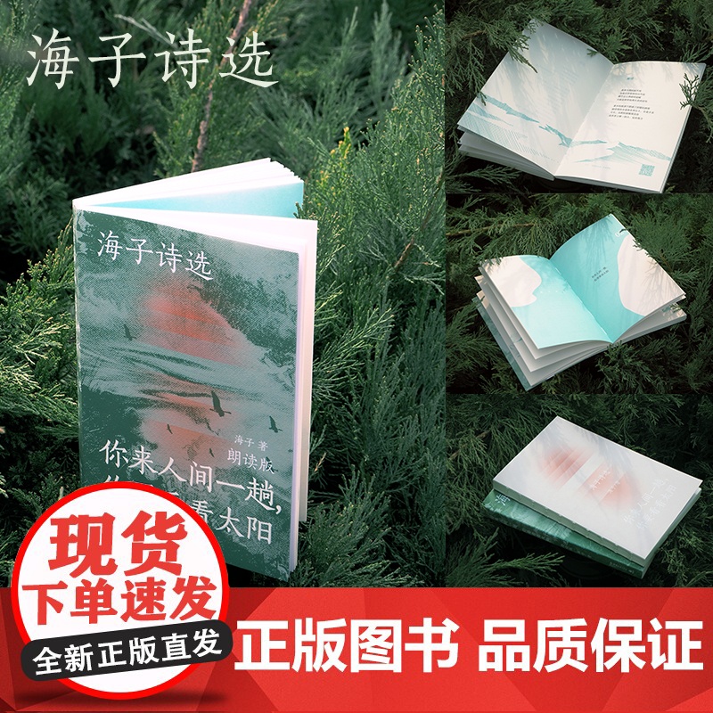 [央视网]海子诗选 你来人间一趟 你要看看太阳 叶清 宝木中阳 路知行 刘北辰等声音大咖联袂献声 向诗人致敬 TJ高清大图