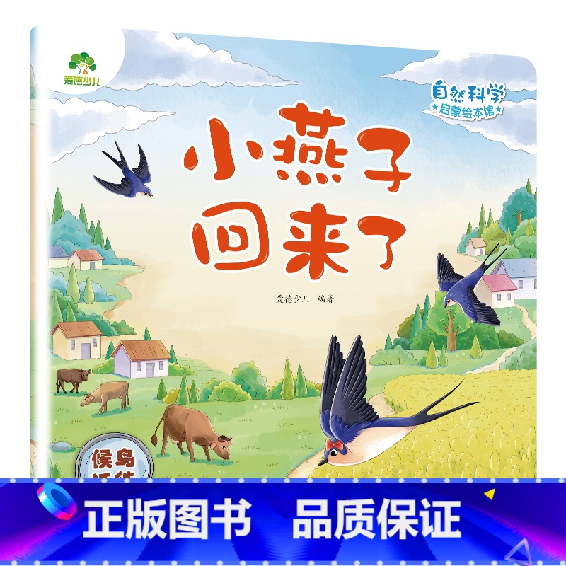 [1册]小燕子回来了(候鸟迁徙) [正版]自然科学启蒙儿童绘本3-6岁绘本幼儿园绘本阅读太空宇宙书籍萤火虫发光动物冬眠月