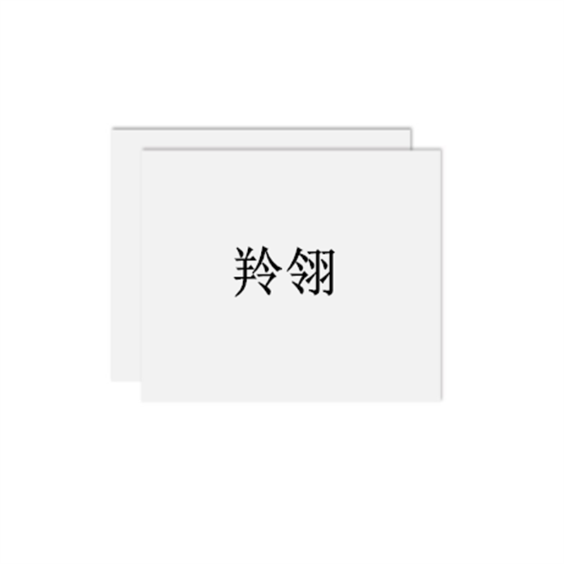 羚翎 320×260mm 标签(计价单位:个)白色