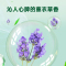 滴露衣物除菌液高效杀菌除螨洗衣消毒柠檬3L+薰衣草3L 加赠龙宝宝纸巾除菌99.9%*