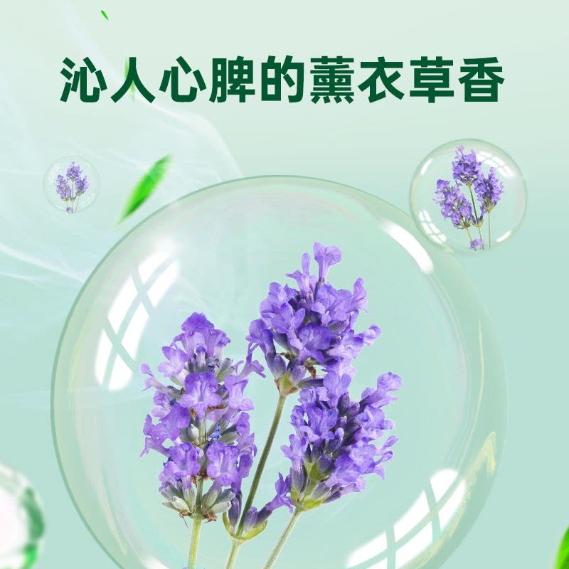 滴露衣物除菌液高效杀菌除螨洗衣消毒柠檬3L+薰衣草3L 加赠龙宝宝纸巾除菌99.9%*图片