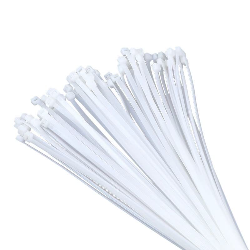 赫德世嘉(HEARDSGA)自锁式尼龙扎带 4*300 250根/包(5包起订)图片