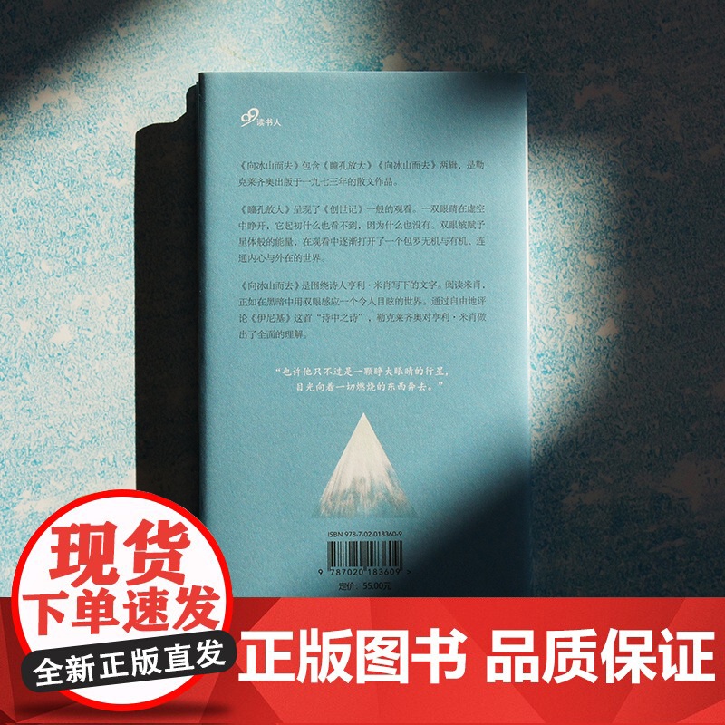 向冰山而去(诺贝尔文学奖得主勒克莱齐奥作品) 勒克莱齐奥 人民文学出版社 正版书籍高清大图