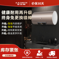 史密斯60升电热水器 国家补贴 专利免更换镁棒 金圭内胆 短款 速热节能 CEWH-60ED3B 一级能效