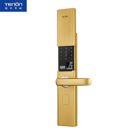 亚太天能(TENON)微信智能安防指纹锁锌合金家用指纹密码锁电子门锁V18香槟金(标准版)适配ios;Android