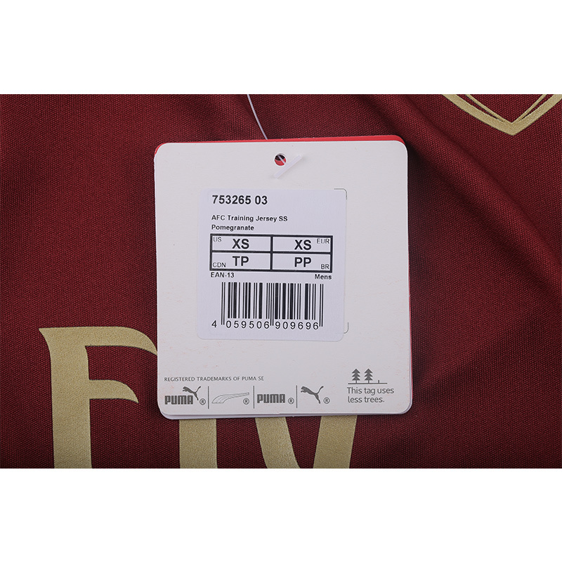 Puma/彪马 阿森纳18-19赛季训练服运动休闲短袖T恤75326503