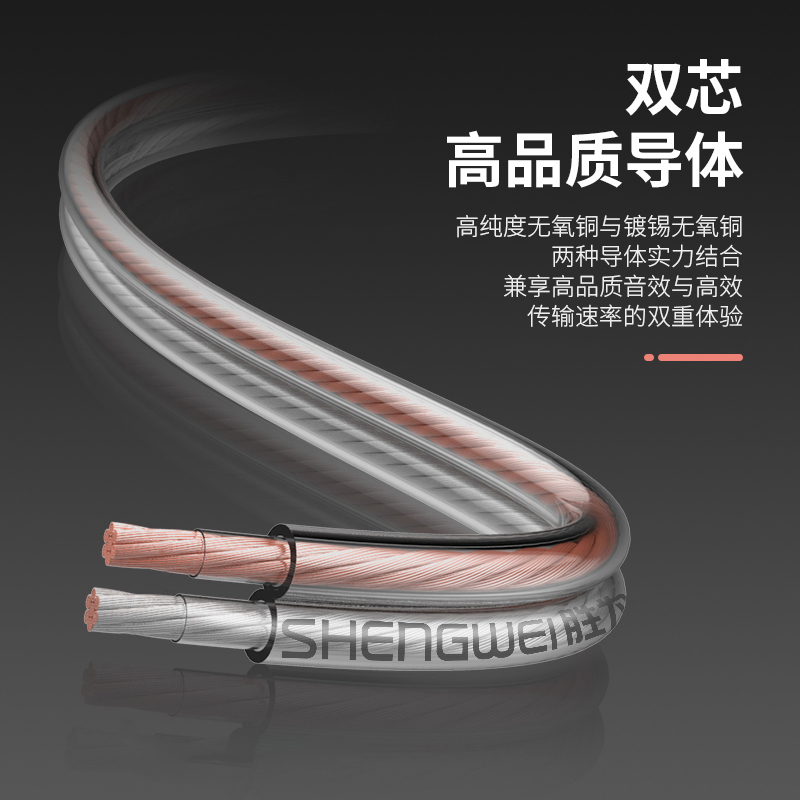 胜为(shengwei) 发烧级纯铜音箱线 功放音响喇叭车载连接线 2*200芯 100米音频线 AEC-2100