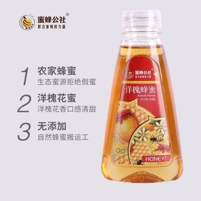 蜜蜂公社天然洋槐蜂蜜农家自产槐花蜂蜜480g瓶装纯正蜂蜜