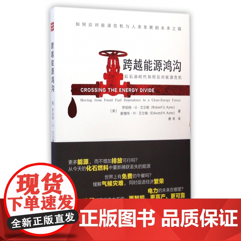 跨越能源鸿沟(后石油时代如何应对能源危机)高清大图