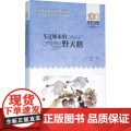 飞过城市的野天鹅 长江少年儿童出版社 翌平 著 著