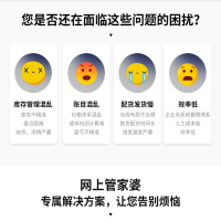 进销存软件 财务仓库库存出入库软件服装销售订单管理系统云ERP 网络版 1用户