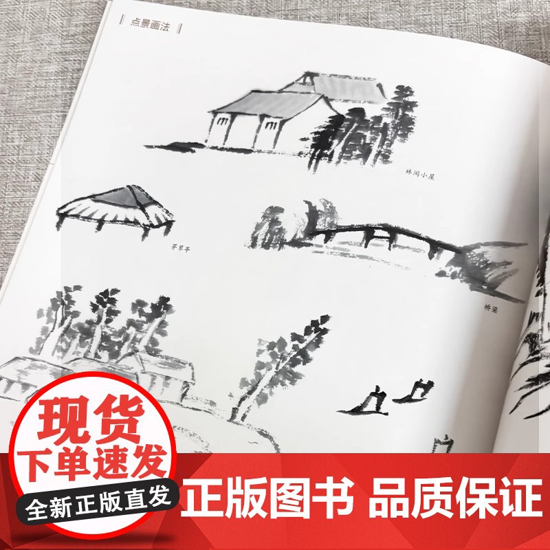 [视频教学]仿古山水画技法丛书 清四王 清四僧山水画解析 中国古代山水画名家经典名作中国画技法山水画绘画教程书 福建美术高清大图