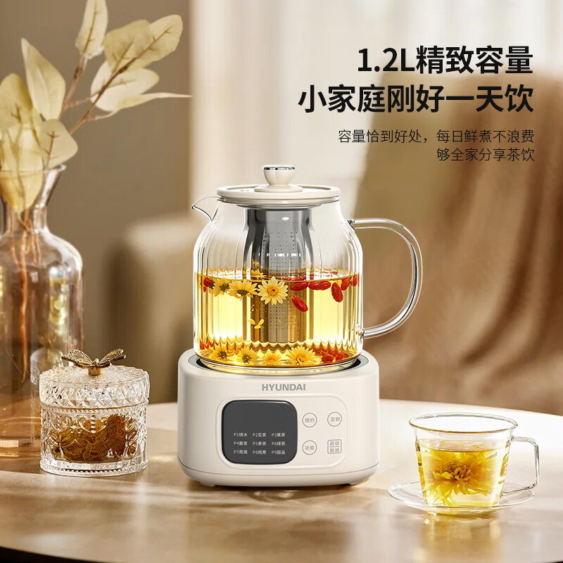 HYUNDAI便携式电热水壶APL-0601高清大图