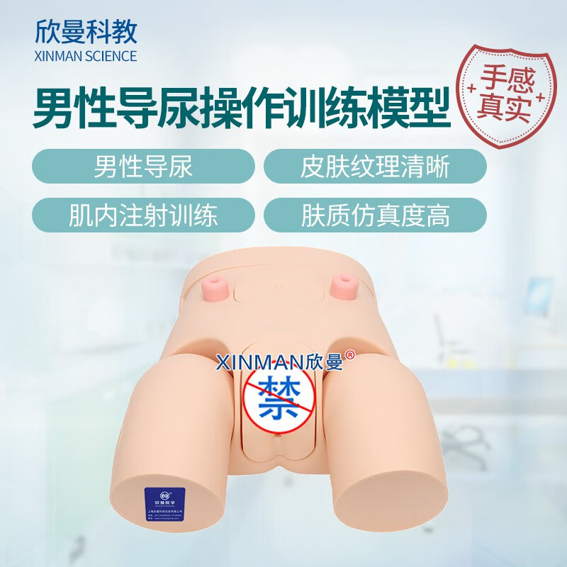 欣曼科教 高级男性导尿操作训练模型 导尿练习模拟人XM-H10