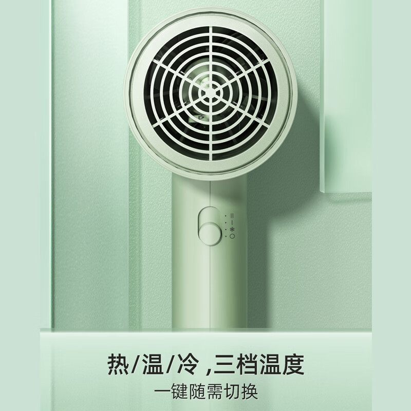 飞科电吹风FH6296 (单个价格)高清大图