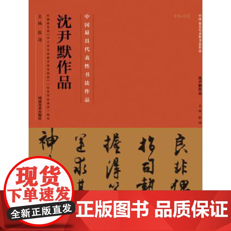 沈尹默书法名家名帖技法临摹鉴赏书籍笔书法入门自学教材 河南美术出版社高清大图