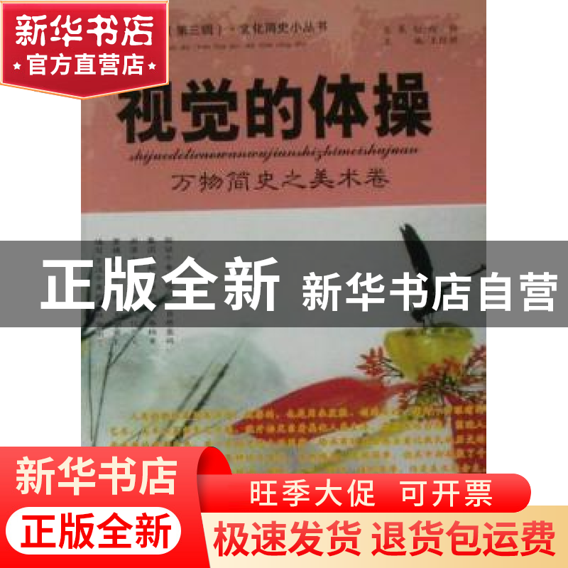 正版 视觉的体操:万物简史之美术卷 王经胜主编 延边人民出版社