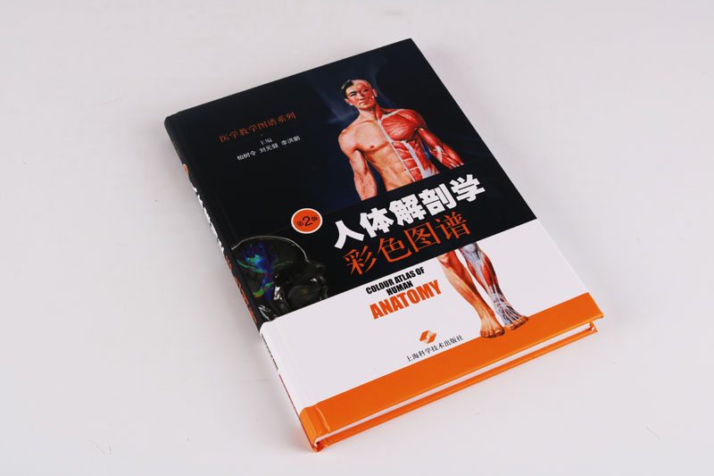 [正版]人体解剖学彩色图谱第二版500余幅数字图像图片医学教学图谱系列人体器官结构医科解剖学专业教师学生临床医生书籍上高清大图