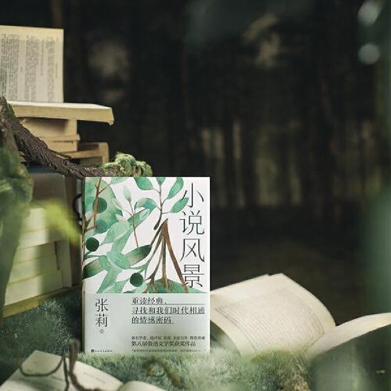 正版新书]小说风景张莉 著9787020179374高清大图