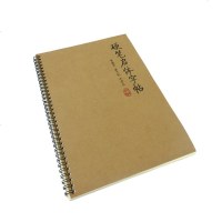 启功硬笔行书启体钢笔字帖书法常用字千字文第子规临摹纸重复书写
