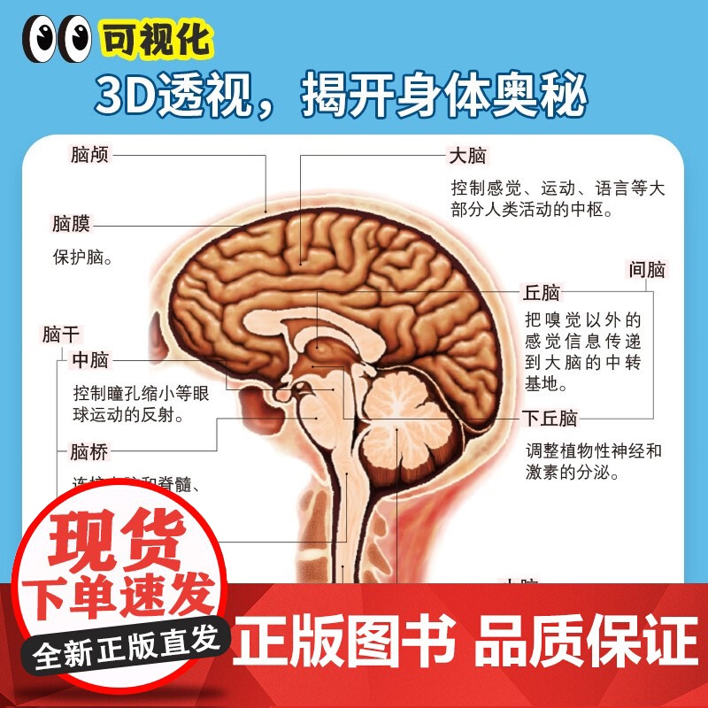 3D人体解剖图 从身体构造检索疾病 福士斋 著 医学高清大图