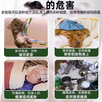 强效避鼠丸子驱鼠车用老鼠药特效家用克星植物室内外强力驱赶神器
