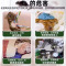 强效避鼠丸子驱鼠车用老鼠药特效家用克星植物室内外强力驱赶神器