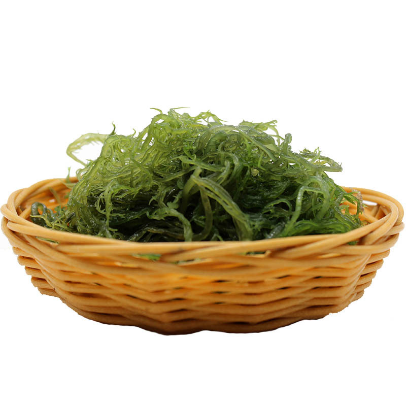 博多客 龙须菜 5斤 海 海石花鹿角菜食用海藻菜丝裙带海藻丝凉拌菜 HPT