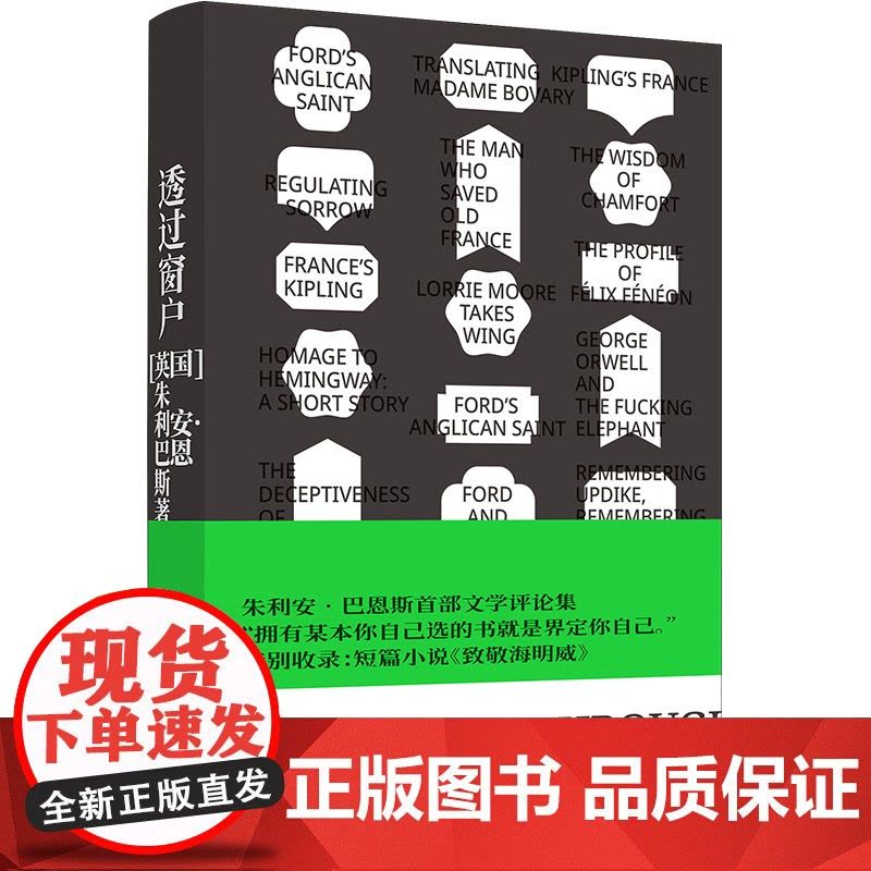 透过窗户 英国文坛“三巨头”、布克奖小说家朱利安·巴恩斯首部文学随笔集,特别收录短篇小说《致敬海明威》译林出版社图片