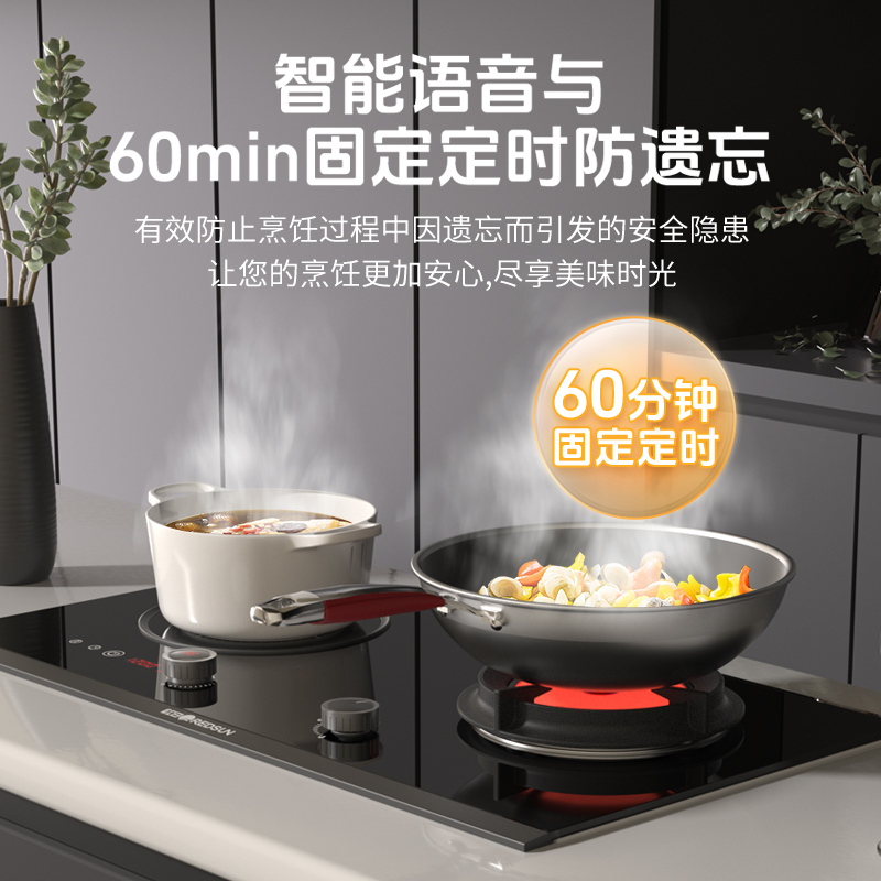 红日(RedSun)气电两用鸳鸯灶 家用电磁炉燃气灶 智能定时独立提醒 台嵌两用气电灶LC90B 液化气