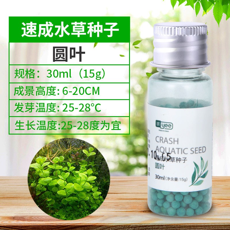 水草籽鱼缸种子牛毛对叶真水草种籽草坪草籽造景植物底砂套餐