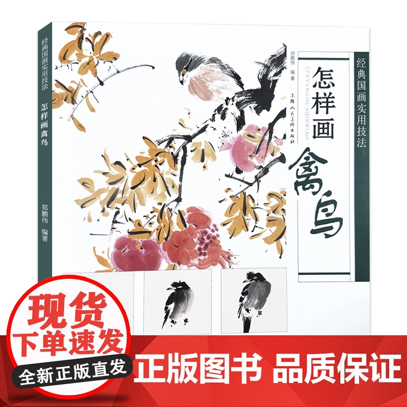 怎样画禽鸟 经典国画实用技法禽鸟结构画法讲解麻雀八哥11种禽鸟技法赏析写生创作技法教程初学者范画临摹画册