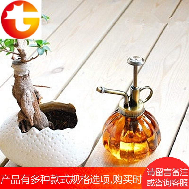 Fan home浇花喷壶喷雾器家用园艺洒水壶家用小型浇花壶压力喷水壶