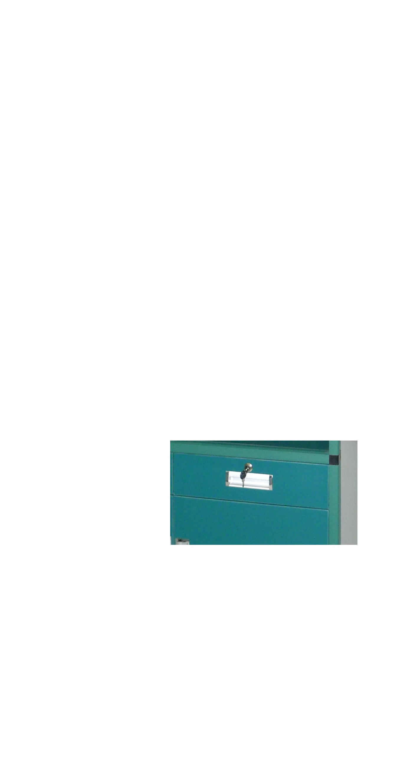 Easylife 大风车 铝木柜 药品柜 实验柜 实验架 实验室用柜子高清大图