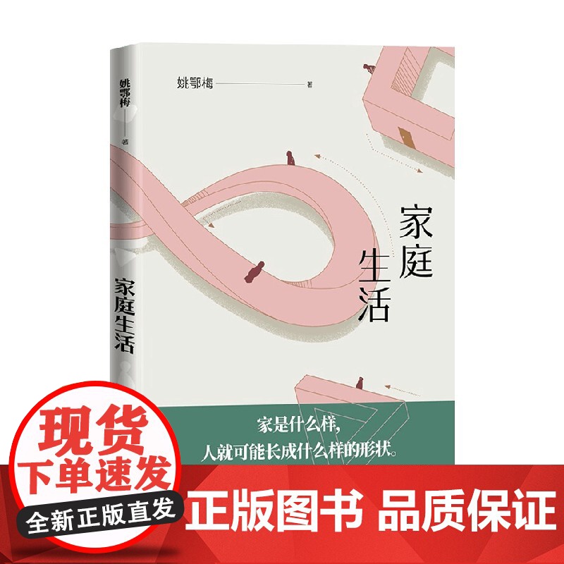 家庭生活 姚鄂梅 著 小说高清大图