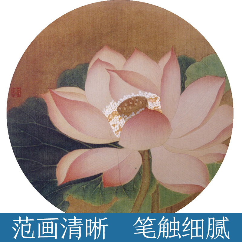 [醉染正版]工笔画新手入门书籍中英双语版墨点美术二色莲初学者零基础临摹画册线描花鸟带上色步骤国画入门基础教程书高清大图