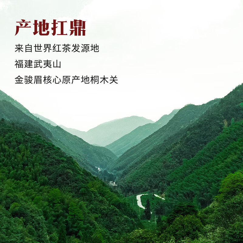 八马茶业 鼎红 金骏眉/正山小种/老枞小种/贵妃红老树红 送礼 茶叶礼盒装 [陶瓷罐装]金骏眉76g高清大图
