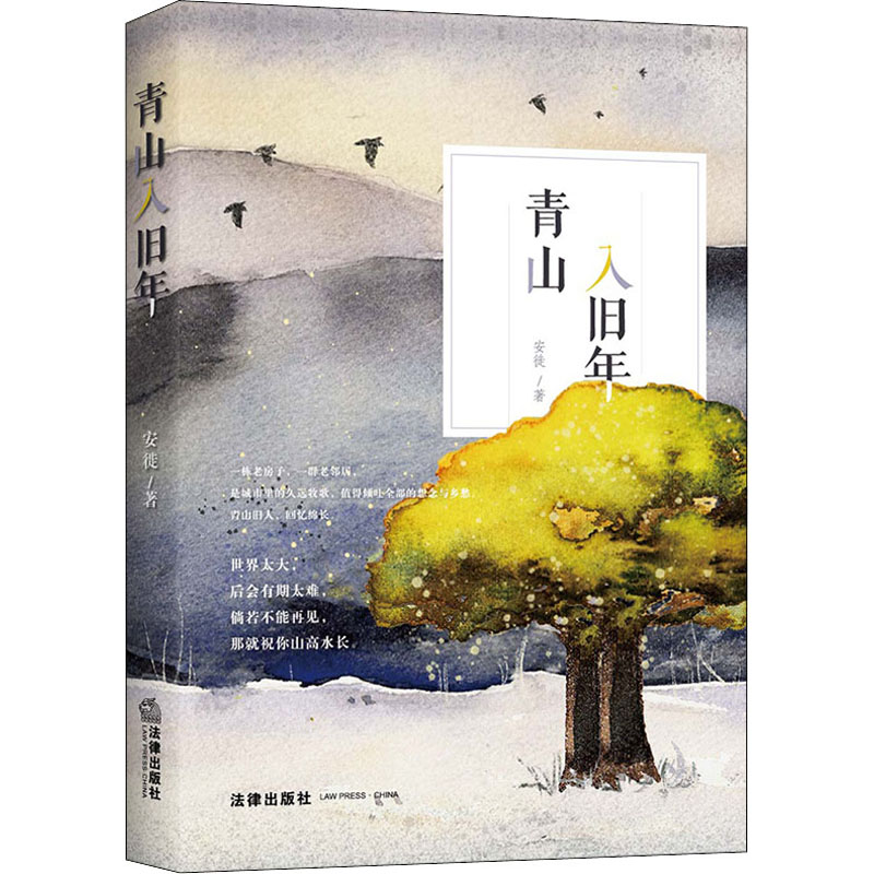 醉染图书青山入旧年9787519740948高清大图