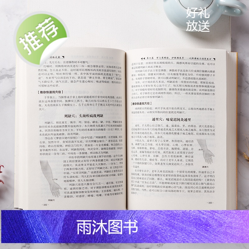 养生大系--人体经络大全图解手法 经络穴位快速记忆 全身经络书籍大全 零基础入门学会手法筋络中医养生 经络图册使用手册常高清大图