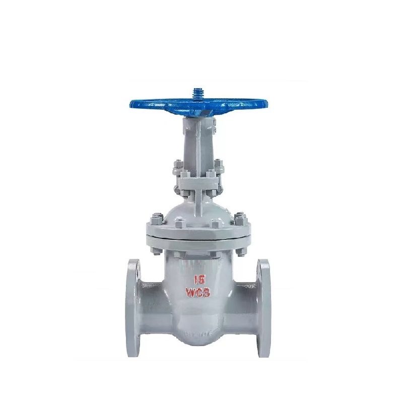 伟鹏双兴 铸钢法兰式闸阀 DN100 台高清大图