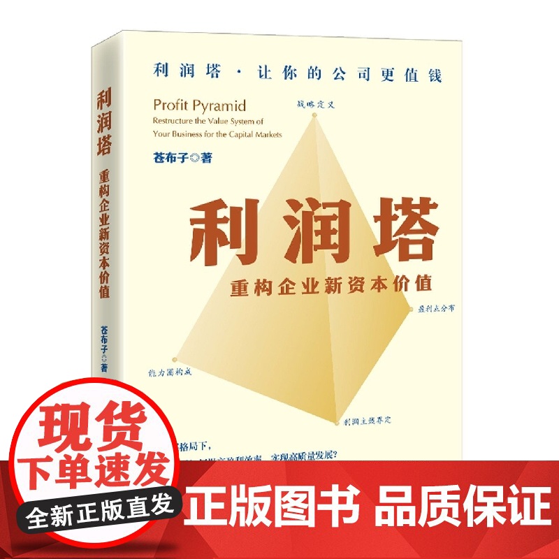利润塔(重构企业新资本价值)高清大图