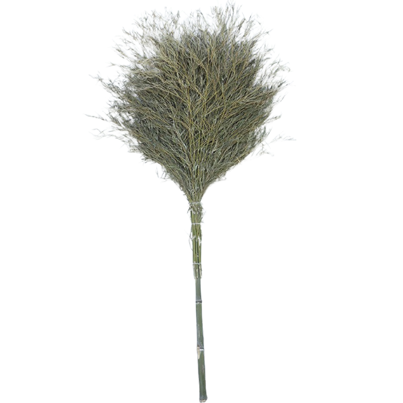 连瑞翔 大扫把 竹制 把高清大图