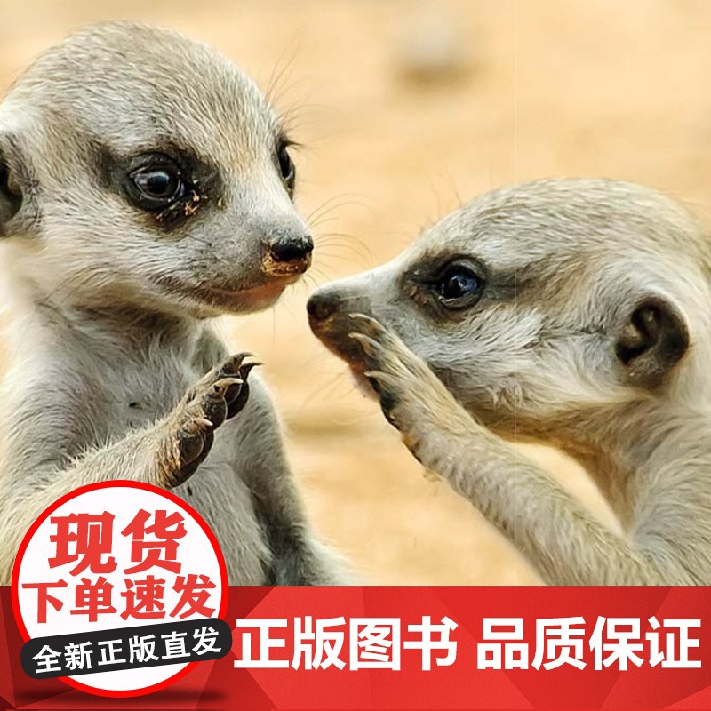 [正版] DK儿童野生动物行为小百科 英国DK公司 中国大百科出版社 9787500095590 科普百科 少儿 正高清大图