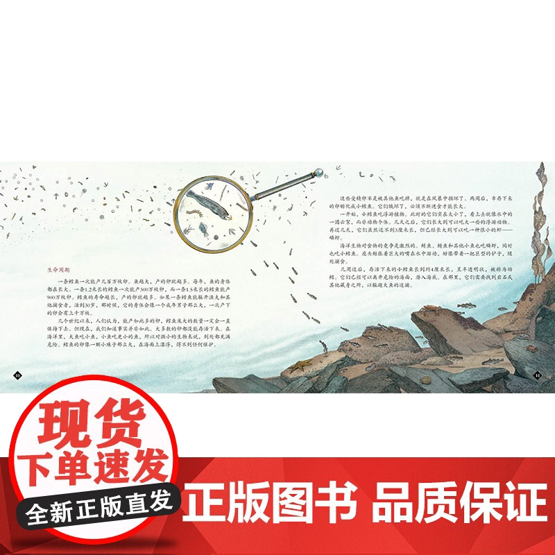 鳕鱼的故事蒲蒲兰硬壳精装图画书经典历史类书籍的儿童绘本版适合6岁以上阅读正版童书高清大图