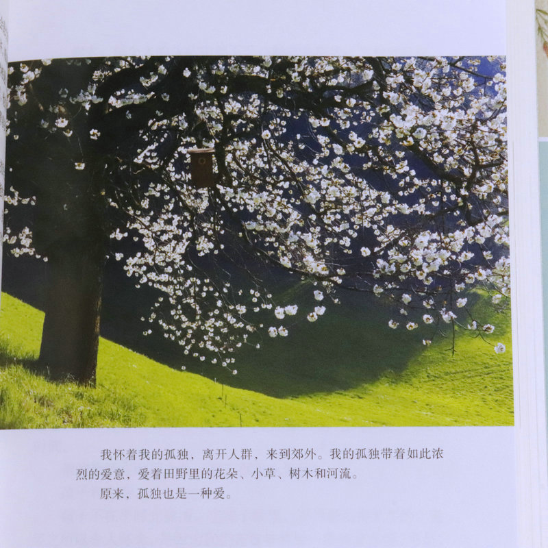 [正版]周国平作品中国现当代文学散文名著我喜欢生命本来的样子当你学会独处人生哲学心灵修养励志书籍高清大图