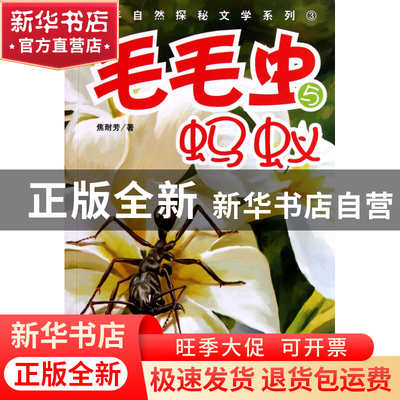 正版 毛毛虫与蚂蚁/少年自然探秘文学系列 焦耐芳 中国青年 97875高清大图