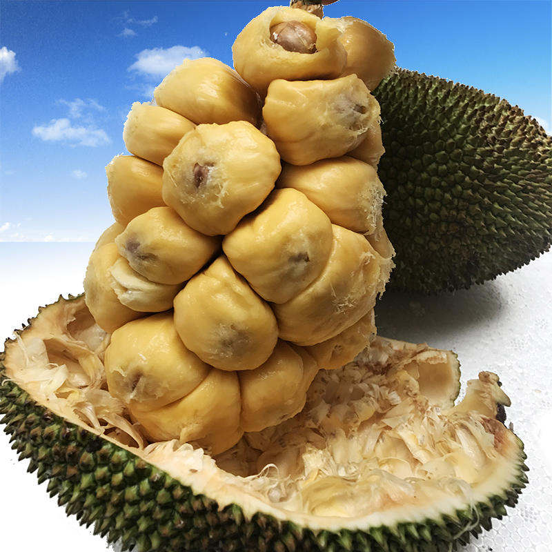 [苏鲜生]海南榴莲蜜5-6斤 应季热带新鲜水果手撕软糯香甜湿苞高清大图